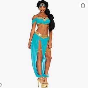 Princess Jasmine (Aladdin) Oasis Princess Leg Avenue Halloween Cosplay Costume